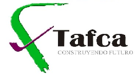 CONST. TAFCA